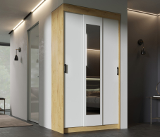 Шкафы-купе, Шкаф-купе Эко 1,2 м ЛДСП