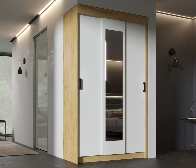 Шкафы-купе, Шкаф-купе Эко 1,2 м ЛДСП