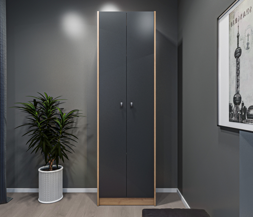 Шкафы распашные, Шкаф 2 дверный Сидней СБ-2588 Дуб дикий/Диамант серый