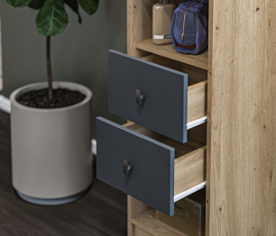 Тумба Сидней СБ-2585/1 Дуб дикий/Диамант серый